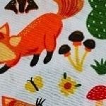 Liski na grzybobraniu